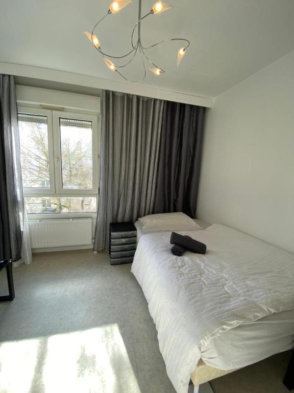 Nancy Hyper Centre, Chambre Prive Chez L'Habitant En Colocation Экстерьер фото