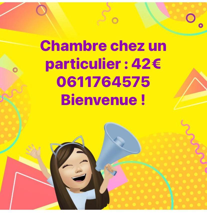 Nancy Hyper Centre, Chambre Prive Chez L'Habitant En Colocation Экстерьер фото